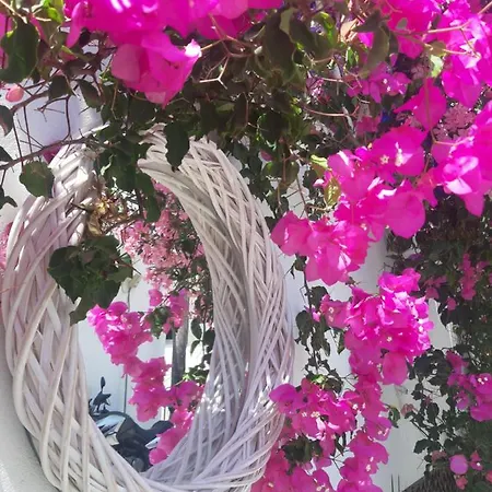 ホテル Doron Delfini Naxos City