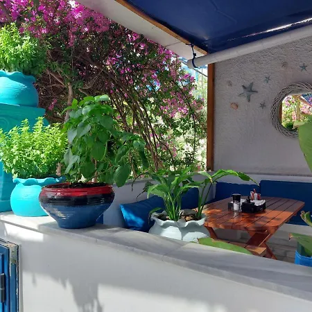 ホテル Doron Delfini