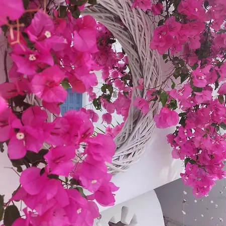 ホテル Doron Delfini Naxos City