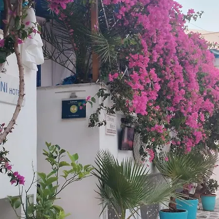 Doron Delfini מלון *