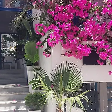 Doron Delfini ホテル