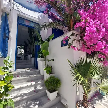 Doron Delfini ホテル Naxos City