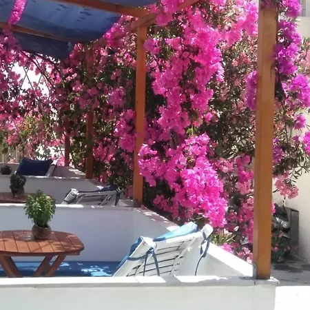 Hotel Doron Delfini *