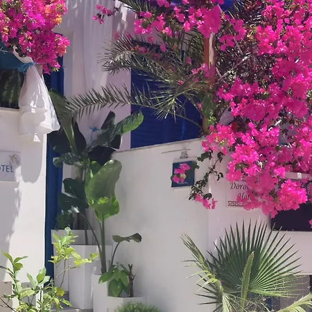 ホテル Doron Delfini