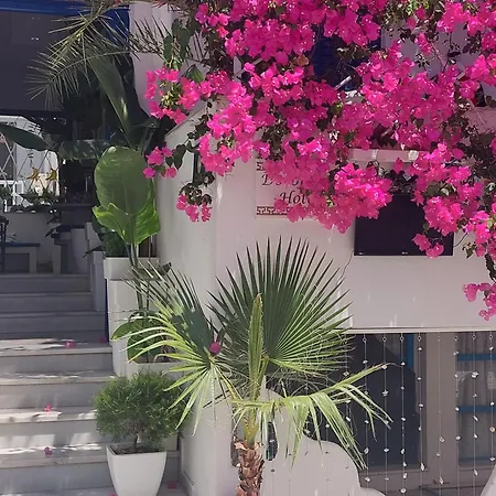 Doron Delfini Naxos City