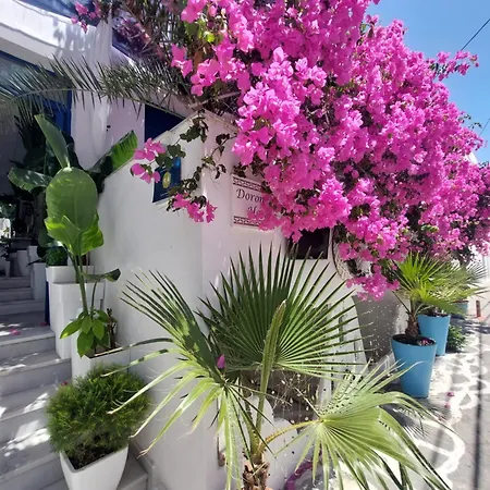 Doron Delfini Hotel Naxos City