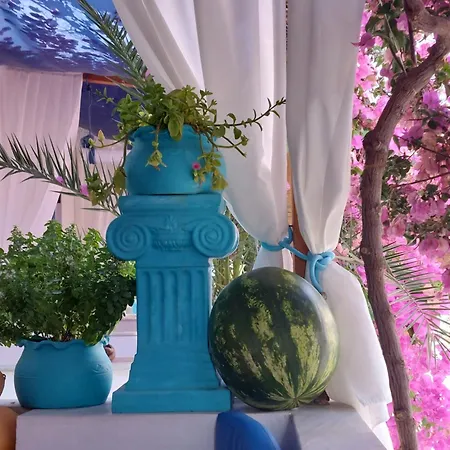 ホテル Doron Delfini Naxos City