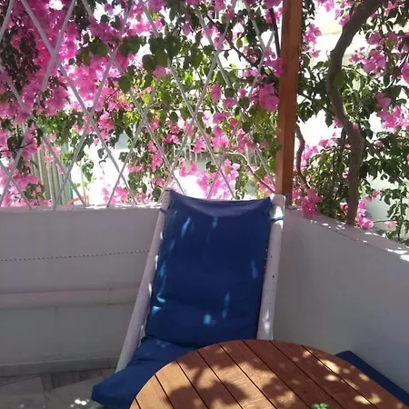 ホテル Doron Delfini