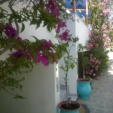 ホテル Doron Delfini *