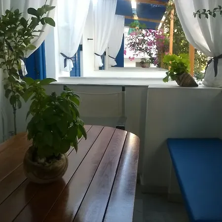 ホテル Doron Delfini Naxos City