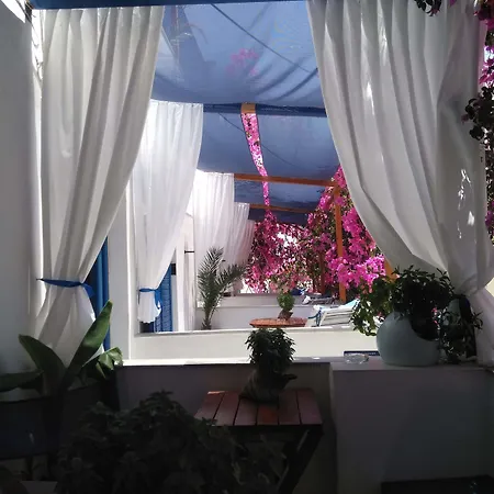 ホテル Doron Delfini