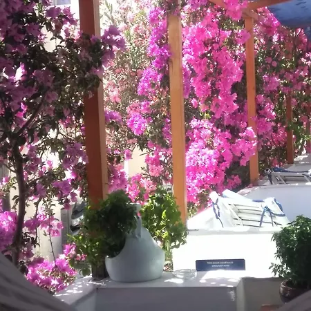 Doron Delfini * Naxos City