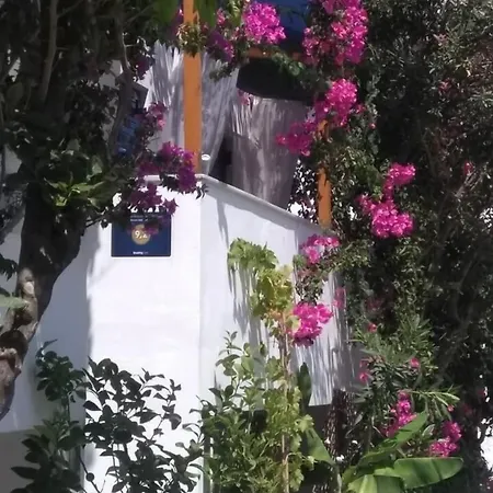 ホテル Doron Delfini