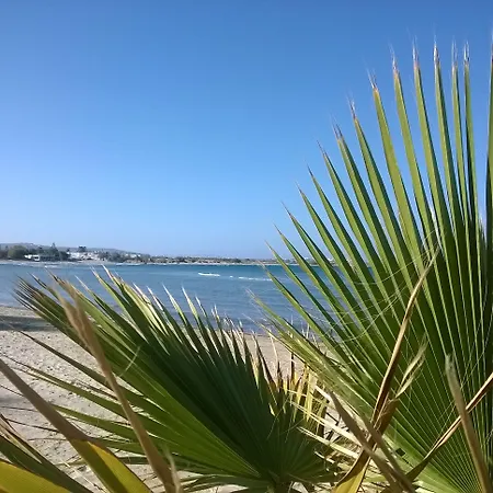 Doron Delfini * Naxos City