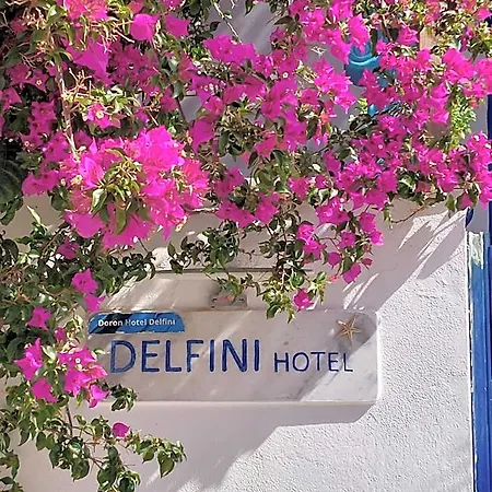 Hotel Doron Delfini *