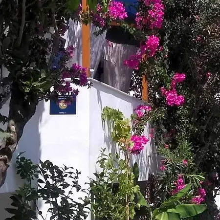 Hotel Doron Delfini