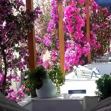 Doron Delfini Hotel