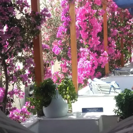 Doron Delfini ホテル