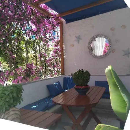 Doron Delfini * Naxos City