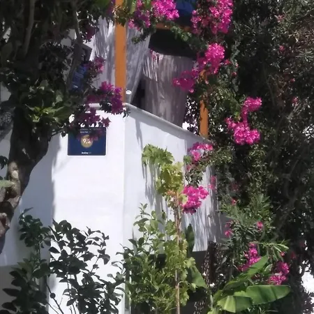 Doron Delfini ホテル