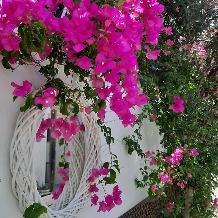 Doron Delfini Naxos City