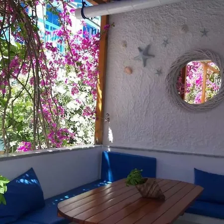 Doron Delfini ホテル