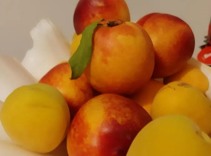 Doron Delfini Naxos City