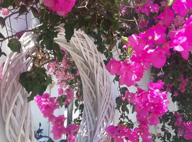 Hotel Doron Delfini Naxos City