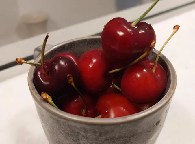 Hotel Doron Delfini Naxos City