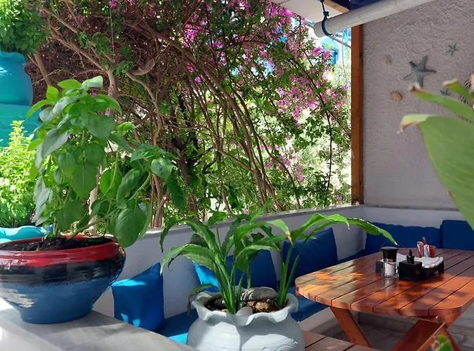 Doron Delfini * Naxos City