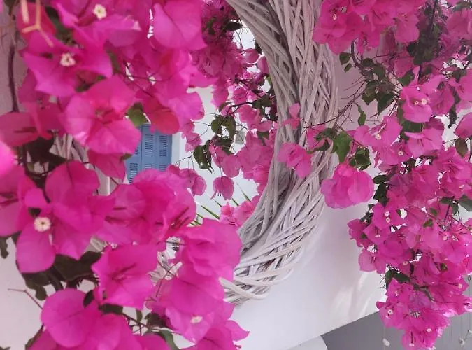 Hotel Doron Delfini Naxos City