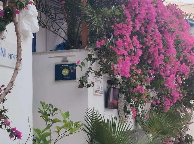 Doron Delfini Hotel *