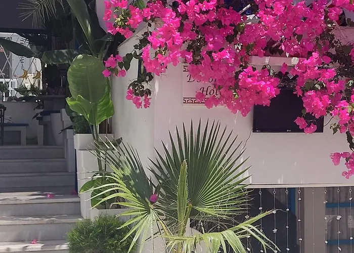 Doron Delfini Naxos City