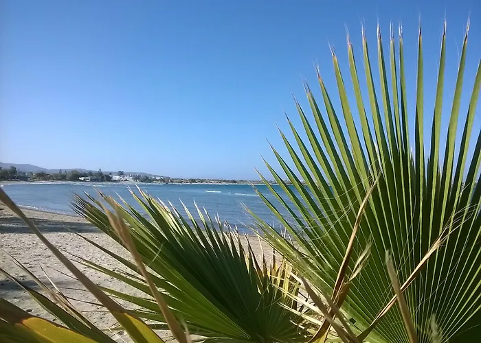 Doron Delfini * Naxos City