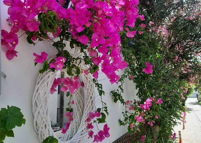 Doron Delfini Naxos City